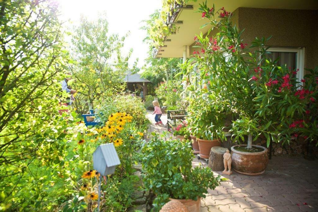 Ferienwohnung Dr. Vera Schmidt Kreischa Exteriér fotografie